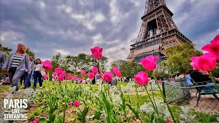 PARIS Sunday Live Streaming 24/April/2022