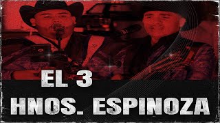 Hermanos Espinoza - EL 3 (En Vivo)