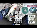 釣魚狂人4K 大漢溪最終回 渴水雙呎上花《字幕版》釣魚，還是要釣到魚才好玩，以及如何帥氣釣魚，Season好物大分享  Stream Fishing Taiwan