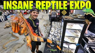 Full Walk-Through of Largest Reptile Expo!!