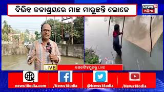 Chhadakhai News | ଜଗତସିଂହପୁର ଜିଲ୍ଲା ମାଛ ବଜାରରେ ସକାଳୁ ଲମ୍ବା ଲାଇନ | Jagatsinghpur News | Odia News