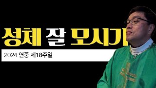 [2024년 연중 제18주일] 성체 잘 모시기 | 요한 6,24-35 | 이준 대건안드레아 신부 | 탈라하시 한인성당