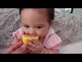 BABY VS LEMON!!! WHOEVER MAKES A FACE FIRST LOSES