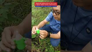 PENEMUAN SEMACAM BOTOL/DOT TUYUL #viral #hiburan #parodi #drama #komedi #humor #tuyul #mustika