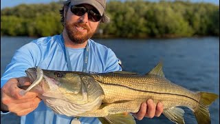 Paddle Tail Lures: How To Retrieve Them To Catch More Redfish, Snook, \u0026 Seatrout