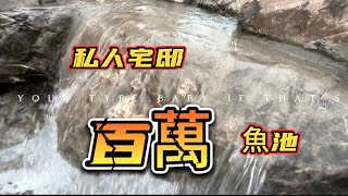 【樂魚愉人水族x森湖水族】百萬魚池工程 改造完工！  #樂魚愉人水族 #水族館 #龍魚 #造景魚池 #景觀池 #錦鯉池