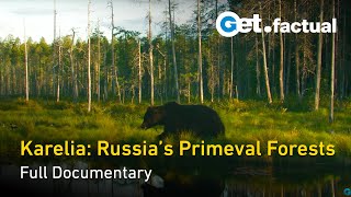 Karelia: Russia's Primeval Forests - Nature Documentary