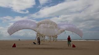 strandbeests by Jansen