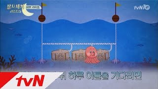 3bobfish 문어세끼를 위한 서지니호 출항! (특별선생님  옆집선장님) 161104 EP.4