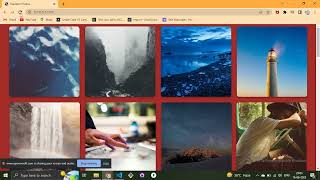 Creating a Random Image Project using JavaScript.