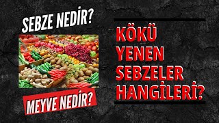 SEBZE NEDİR | MEYVE NEDİR | KÖKÜ YENEN SEBZELER | PROF. DR. ALP CAN ANLATTI