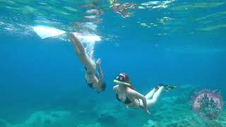 Dive 1