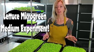 Microgreen Lettuce Experiment - Burlap \u0026 Biostrate - Hydroponic - On The Grow