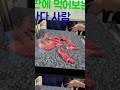 고기돌팡의 매력 스테이크굽기 소갈비 삼겹살