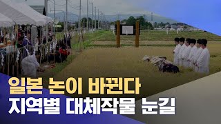 일본 논이 바뀐다   지역별 대체작물 눈길