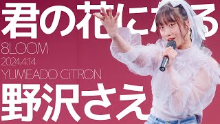 野沢さえ(Sae / YUMEADO CiTRON) - 君の花になる(8LOOM) カバー / 東京アイドル劇場（アイゲキ）