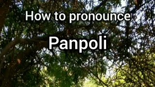 How to Pronounce Panpoli