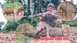 kompilasi video shot hama babi hutan di siang hari dan malam hari @gandyhunter