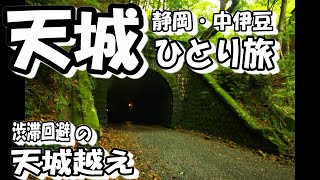 中伊豆・天城ひとり旅。夏の渋滞回避おすすめルート。伊豆の観光は海だけじゃない！天城越えを楽しもう！