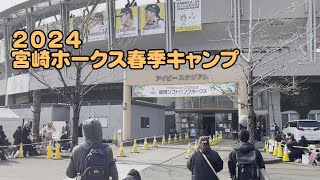 ソフトバンクホークス宮崎春季キャンプ2024行ってきた。