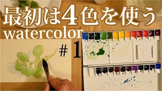 彩色始め最初の4色【透明水彩絵の具】初心者の方へ水彩画教室動画レッスン 字幕付