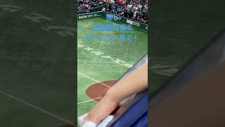 加藤豪将選手第4号ホームラン【推しのホームラン】#baseball #加藤豪将 #ファイターズはとまらない