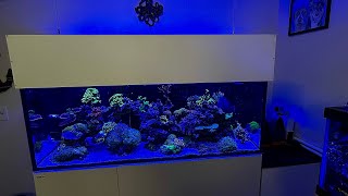 Built a canopy top for my Red Sea 525 G2+