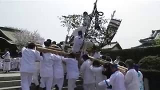 平成31年　鶴崎 剣八幡宮 けんか祭り 階段突破