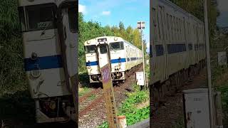 【キハ47】  影原踏切を通過します。　#shorts #JR #train