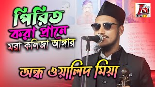 পিরিত করা প্রানে মরা কলিজা আঙ্গার II অন্ধ অলিদ মিয়া II Pirit Kora Prane Mora II Baul Olid Mia II