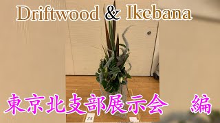 流木で生け花！パート126　「東京北支部展示会」【草月流】【ikebana】sougetu／drifwood／