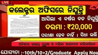 Odisha Collector Office Recruitment 2023 ll Odisha Govt Jobs Recruitment ll Govt Of Odisha ll