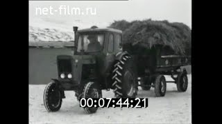 1974г. совхоз имени Жданова Семипалатинская обл Казахстан