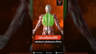 Vectorfitness แนะนำการใช้งานเครื่อง T-bar row by PT'Nook