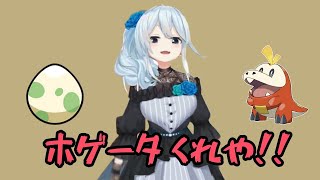 ロケット団でも言わない強請り方でリスナーにホゲータを催促するまひまひ【雪城眞尋/にじさんじ/朝活/切り抜き】