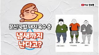 문신국밥돼지육수충이 냄새나는 이유