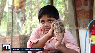 വ്യാവസായികാടിസ്ഥാനത്തിലുള്ള കാട കോഴി വളർത്തൽ - കൃഷിഭൂമി| Mathrubhumi News