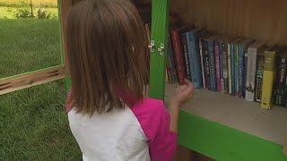 Seven-year-old becomes librarian for little free library