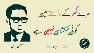 Mustafa Zaidi Ghazal - Inhi Pathron Pe Chal Ke Agar Aa Sako To Aao - LEHJA [Urdu Poetry Channel]
