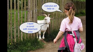 Optimization problem 12 (Maximizing the area of a corral)