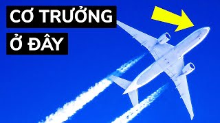 Tại Sao Cơ Trưởng Luôn Ngồi Ở Bên Trái Máy Bay