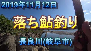 長良川で落ち鮎釣り(コロガシ・ガリ釣り) 令和元年11月12日