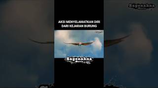 AKSI MENYELAMATKAN DIRI DARI KEJARAN BURUNG #aksi #film #adegan #action