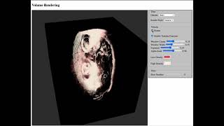 Volume Rendering in WebGPU