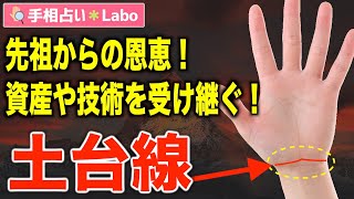 【手相占い】土台線とは？【サクッと解説】