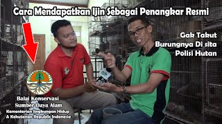 Cara Menjadi Penangkar Burung Resmi Sesuai Undang undang & Peraturan Pemerintah!! MUDAH?