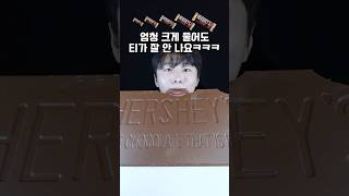 사이즈별 허쉬초콜릿!🍫 대왕 초콜릿 엄청 크다