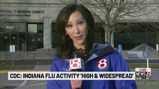 Julia Deng Flu Activity