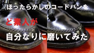 【靴磨き】オールデンのコードバンローファーを磨いてみた。