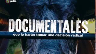 Documentales que le harán tomar una decisión radical